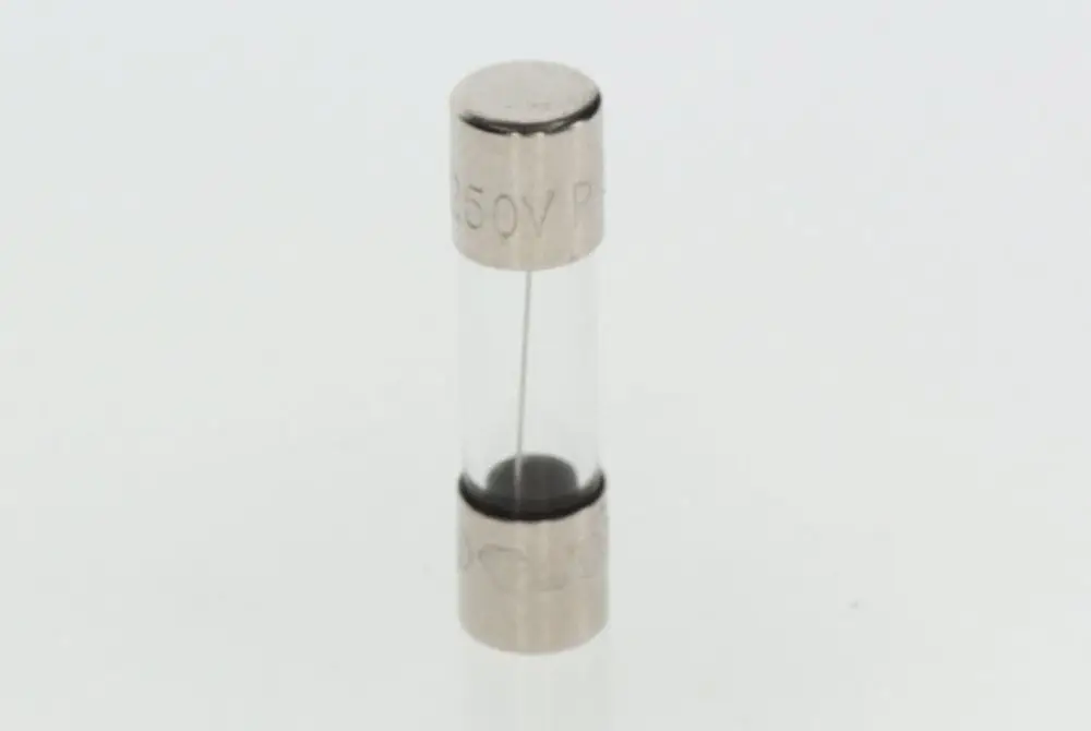 Bosch elektrische Sicherung in transparenter Kunststoffhülle mit metallischen Enden, beschriftet mit 250V und einem schmalen inneren Draht.